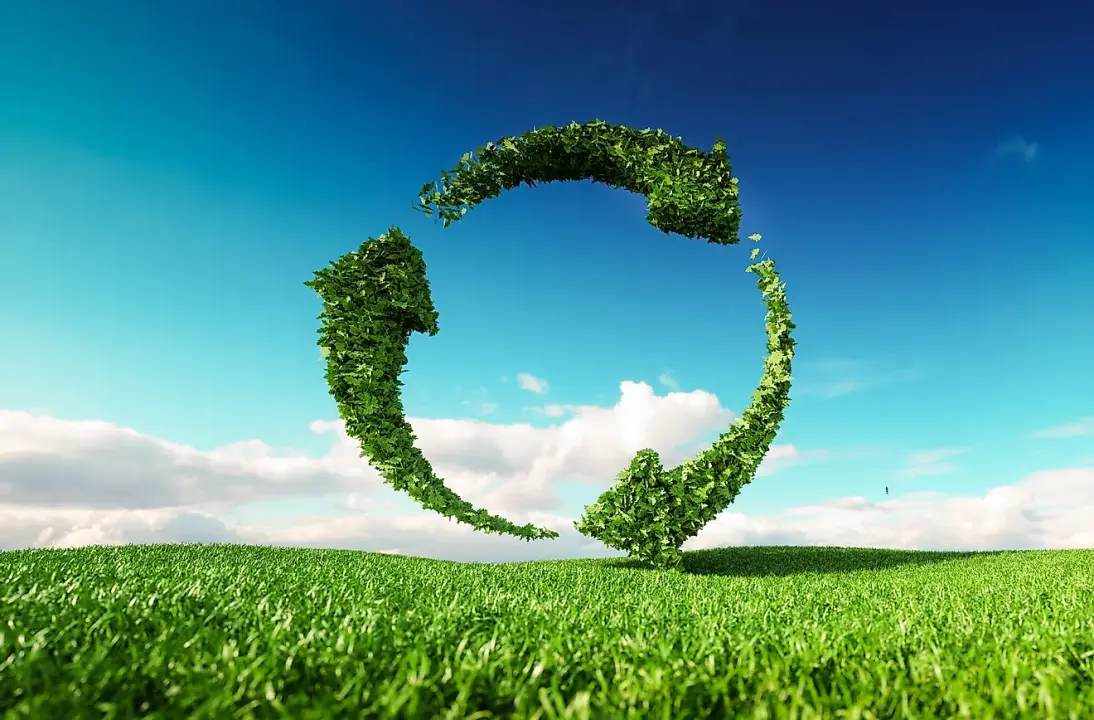 Starting a Renewable Energy Business in a UAE Freezone