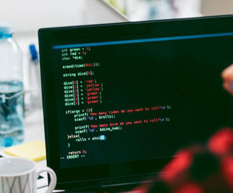 software company
