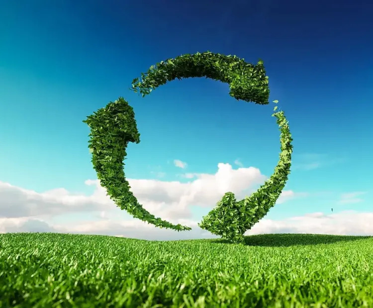 Starting a Renewable Energy Business in a UAE Freezone